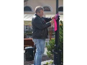 Mesec oktober (rožnati mesec) 1